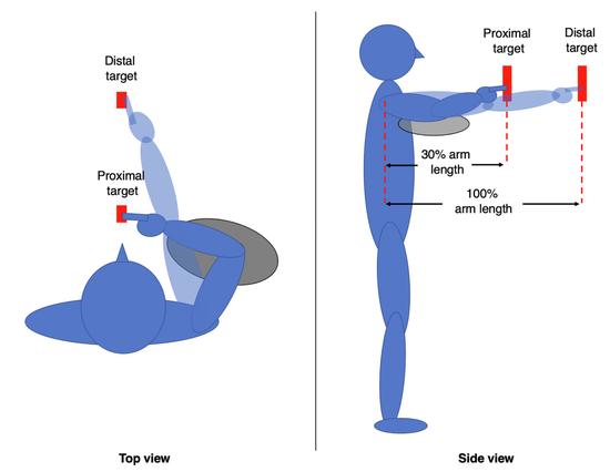 Repetitive pointing task